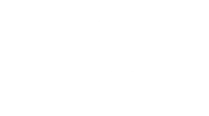 logo bianco